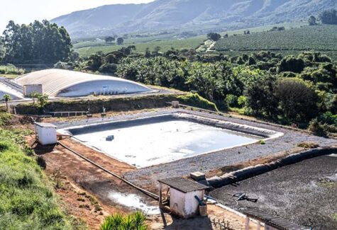 Bioplantas viabilizam descarbonização para o agronegócio brasileiro