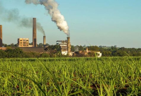 Anunciada maior fábrica de biometano a partir de cana do Brasil