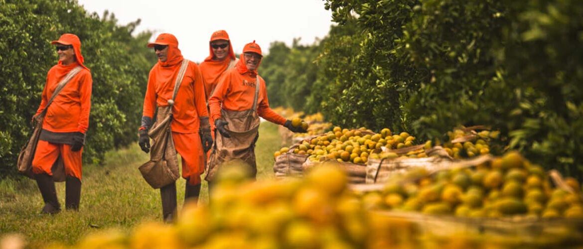 Citrosuco lidera projeto climático junto a cadeia de valor para reduzir emissão de CO2 no Brasil