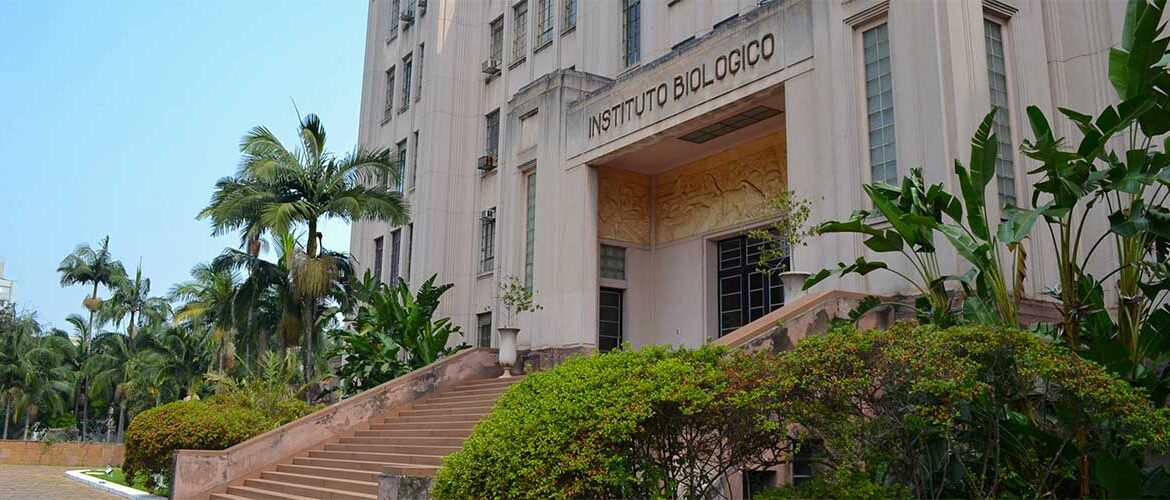 Instituto Biológico comemora 97 anos de excelência em pesquisas e inovações em prol do agro de SP