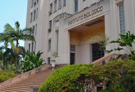 Instituto Biológico comemora 97 anos de excelência em pesquisas e inovações em prol do agro de SP