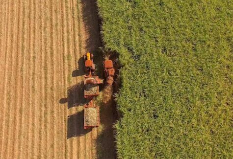 A geopolítica e os desafios para o agronegócio, segundo especialistas 