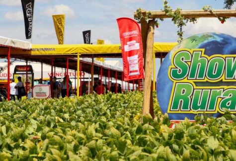 Abimaq divulga resultados dos associados que participaram do Show Rural Coopavel 2025