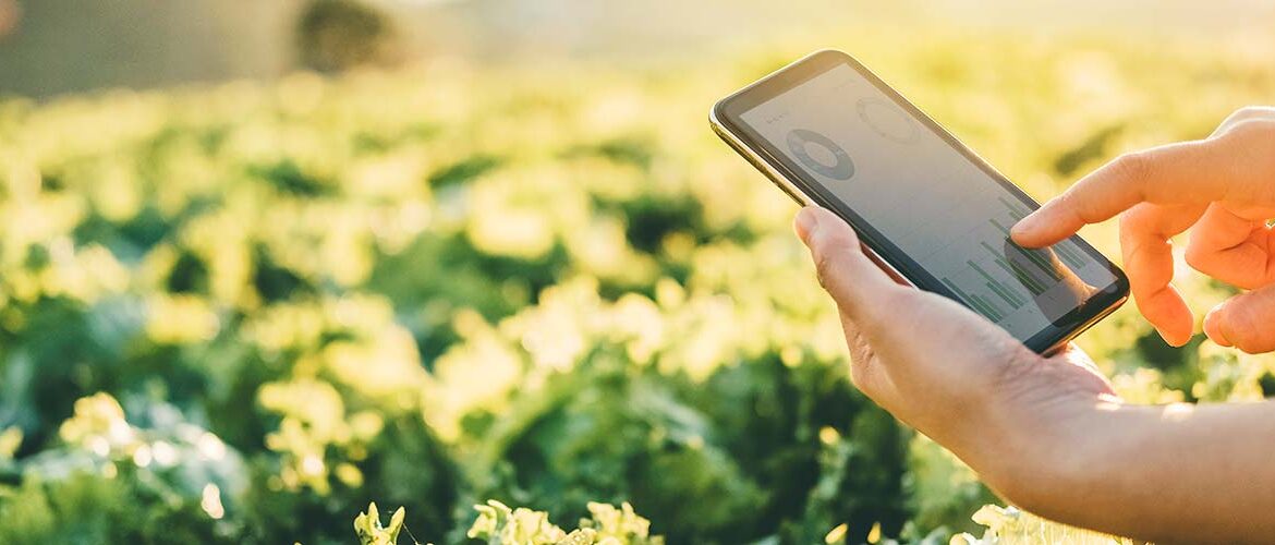 Artigo: Tecnológico, o agronegócio se torna celeiro de novas oportunidades para os jovens