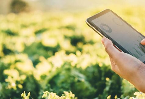 Artigo: Tecnológico, o agronegócio se torna celeiro de novas oportunidades para os jovens