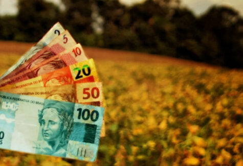 Agro, no Santander, soma crédito de R$ 10 bi para toda a cadeia