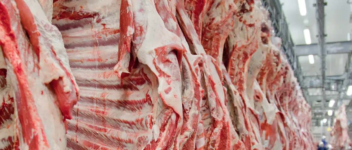 Carne Bovina: vendas para EUA e México reforça posicionamento do Brasil