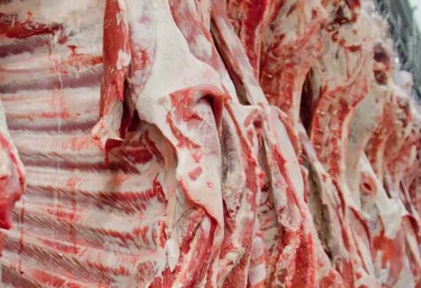 Carne Bovina: vendas para EUA e México reforça posicionamento do Brasil