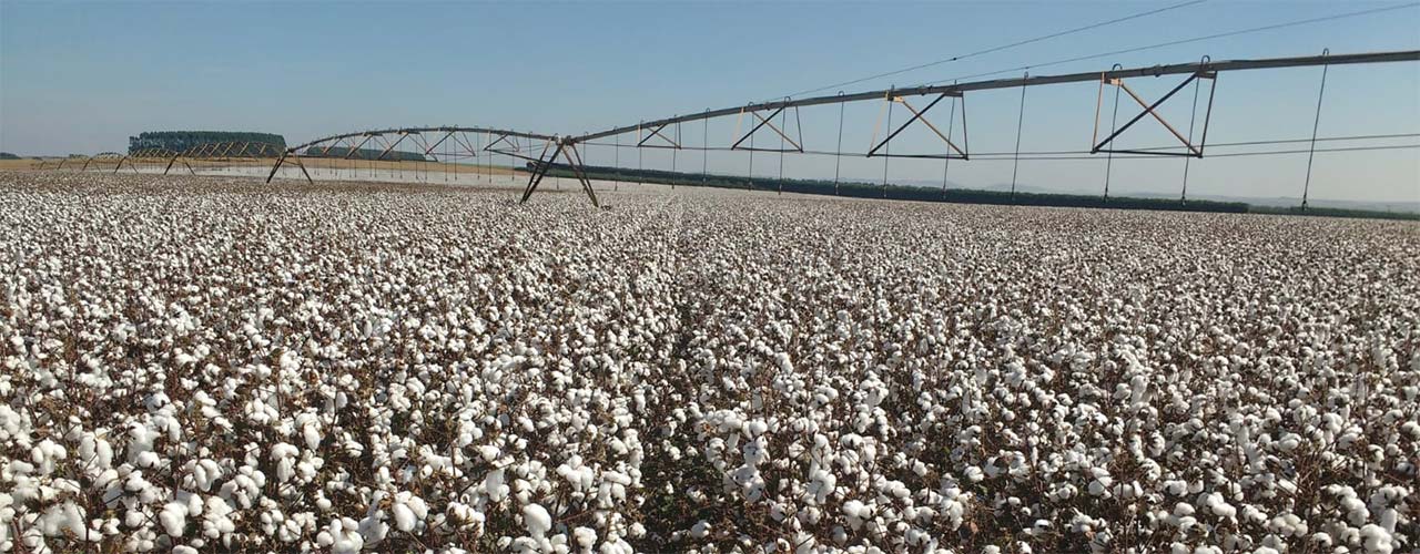 Tecnologia na irrigação: SP se destaca com uso de pivôs centrais