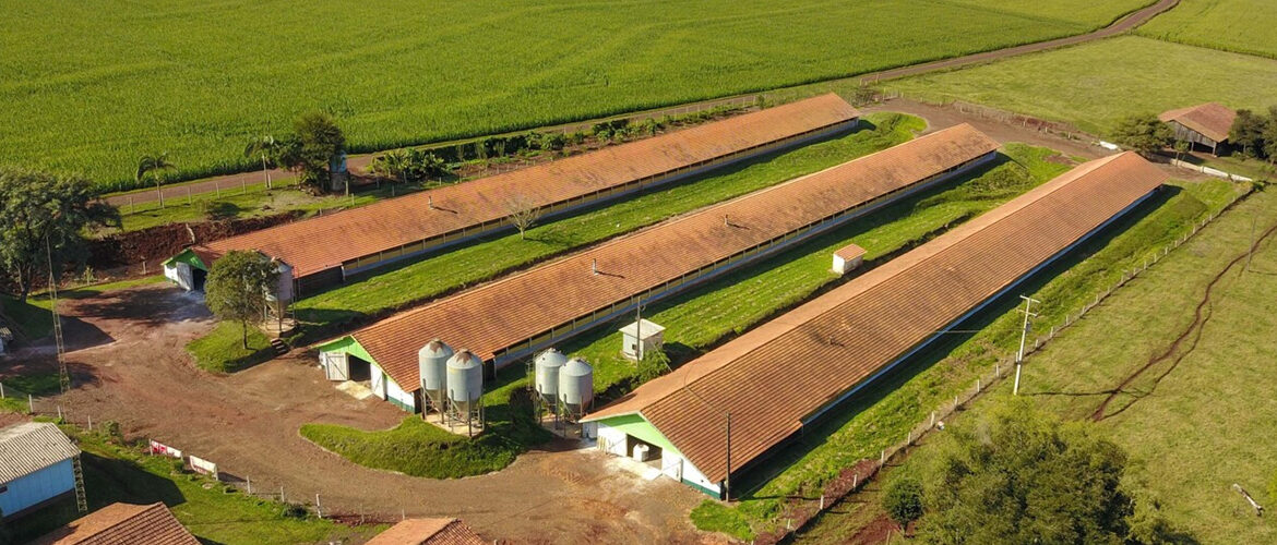 Imóveis rurais: em 15 de junho passa a vigorar novo sistema de regularização