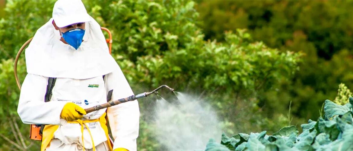 Artigo: Ciência e responsabilidade no debate sobre agrotóxicos
