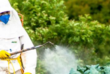 Artigo: Ciência e responsabilidade no debate sobre agrotóxicos