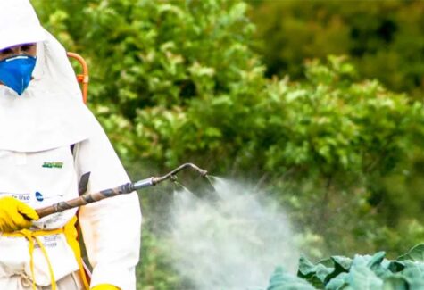 Artigo: Ciência e responsabilidade no debate sobre agrotóxicos