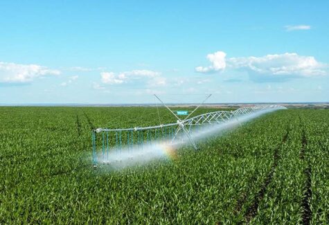 Produtor que duvidava da irrigação hoje opera 12 pivôs e planeja três safras por ano