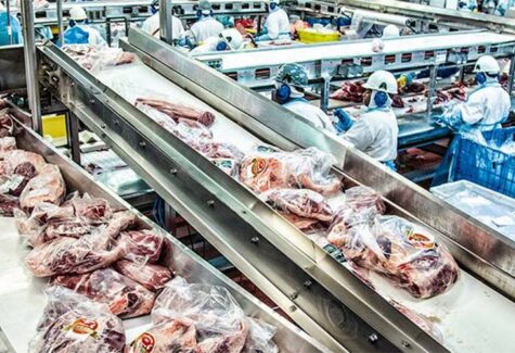 Empresa de proteína animal aumenta 125% capacidade de produção de biodiesel em Goiás