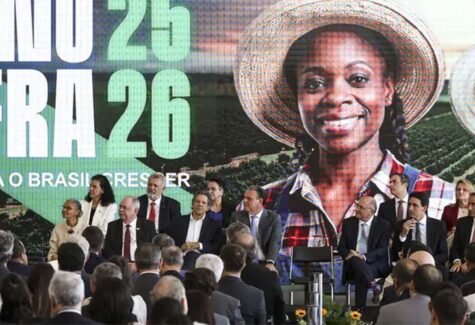Plano Safra prevê R$ 516,2 bi para financiamento da agricultura e da pecuária