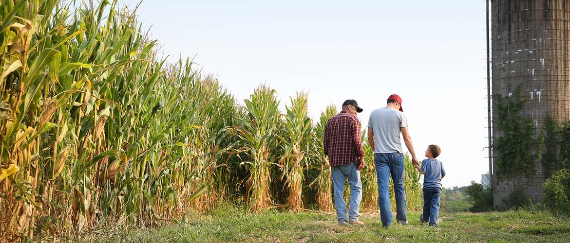 Artigo: Por que é tão difícil falar de sucessão com o produtor rural