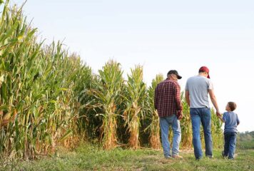 Artigo: Por que é tão difícil falar de sucessão com o produtor rural