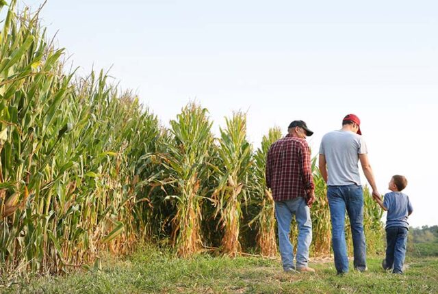 Artigo: Por que é tão difícil falar de sucessão com o produtor rural