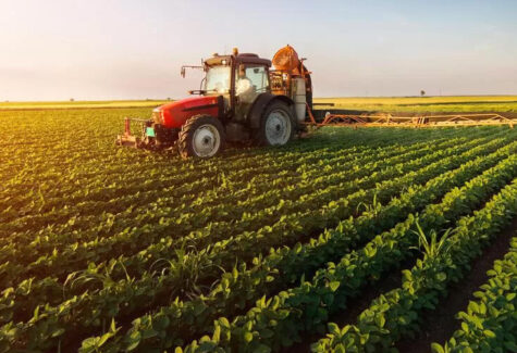 Deutsche Telekom e FazMais firmam parceria para impulsionar a conectividade no agro brasileiro