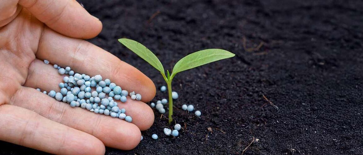 Fertilizantes também são tema na Exposibram