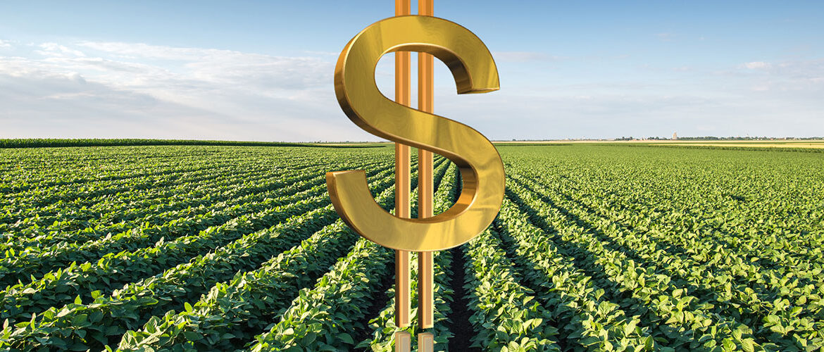 Tese inédita no Direito do Agronegócio surge como alternativa ao endividamento rural