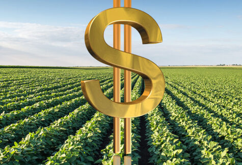 Tese inédita no Direito do Agronegócio surge como alternativa ao endividamento rural