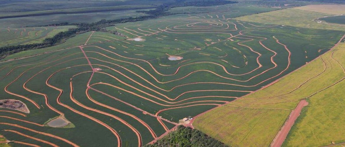 Parceria prevê recuperar 1 milhão de hectares de pastagens no Brasil até 2030