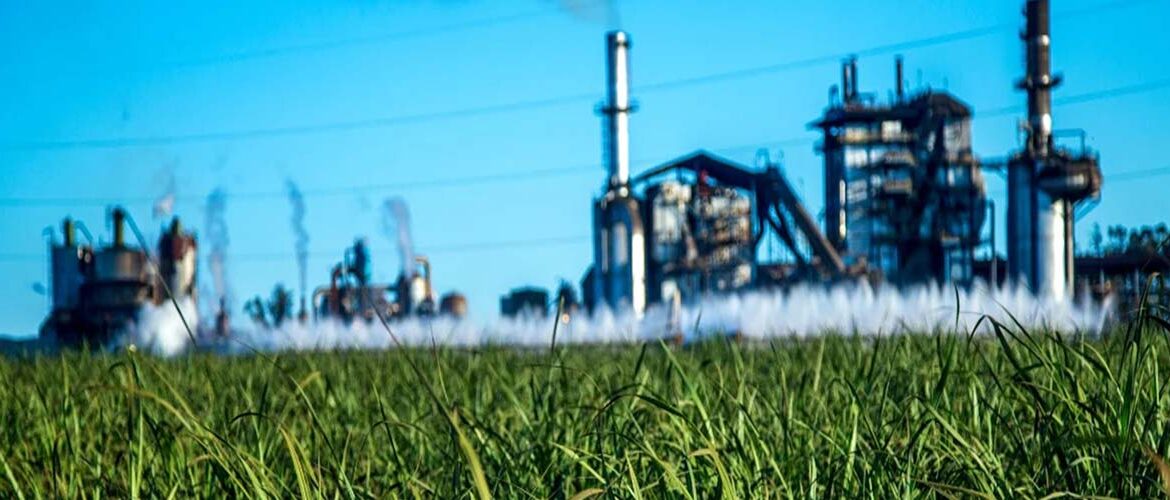 Setor sucroenergético fortalece gestão ambiental e impulsiona transição energética
