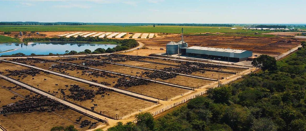 Pecuária circular: impacto na mesa do brasileiro, no meio ambiente e nos custos