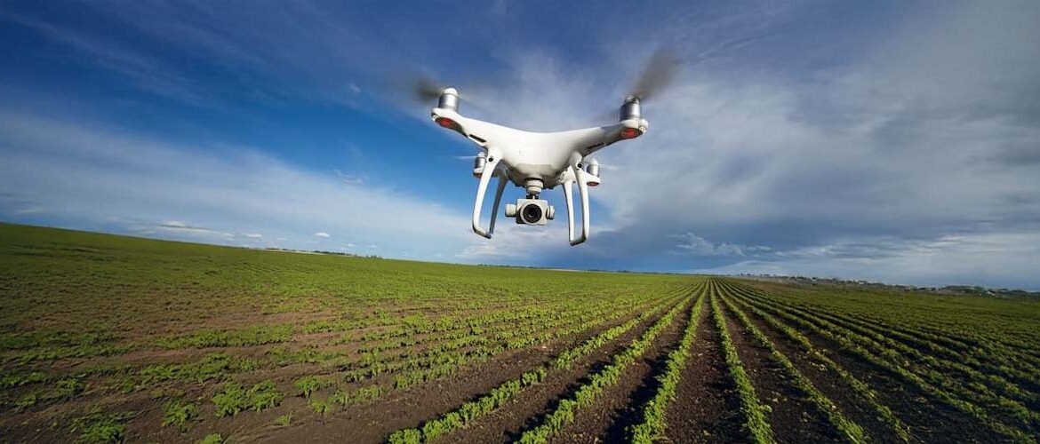 Confira 7 dicas de especialista para garantir bons resultados com a operação de drones nas lavouras