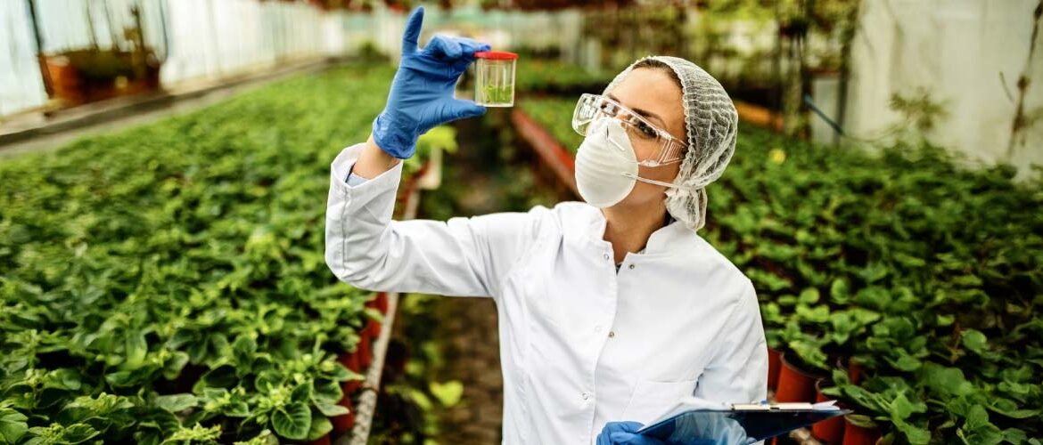 PI AgSciences incorpora a Plant Health Care (PHC)