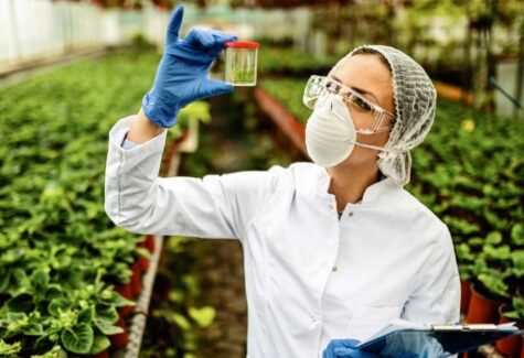 PI AgSciences incorpora a Plant Health Care (PHC)