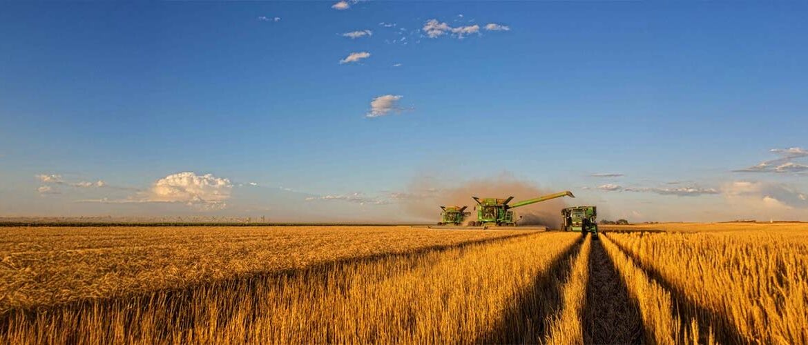 Inovação e produtividade focadas a impulsionar produtividade da safra de trigo 25/26