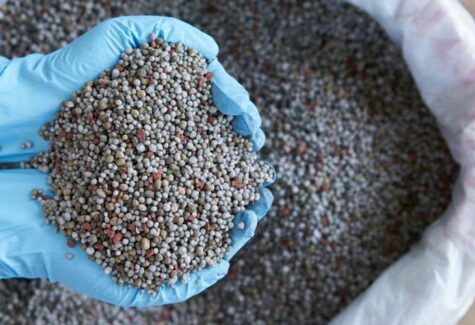 Entregas de fertilizantes crescem 9,3%, com35,86 milhões de toneladas entregues