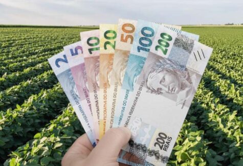 Juros abusivos podem colocar propriedades rurais em risco