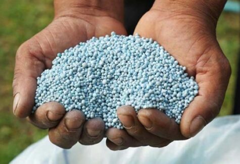 IPCF de novembro já é o mais favorável ao agricultor desde abril