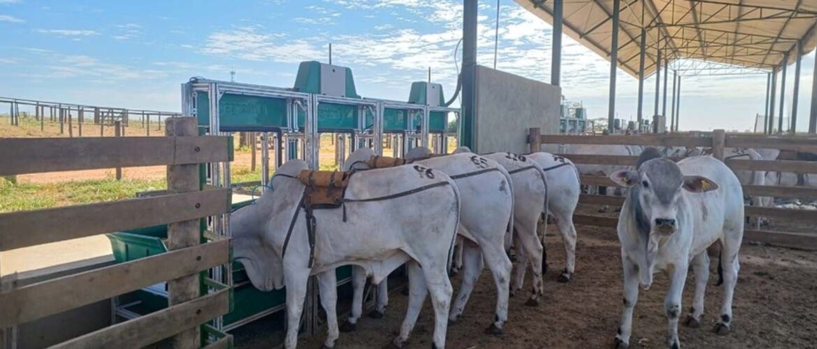 Centro de Pecuária é inaugurado em São José do Rio Preto