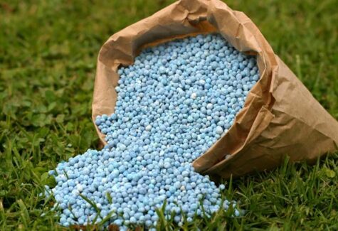 IPCF sinaliza melhora de 2% na comercialização de fertilizantes