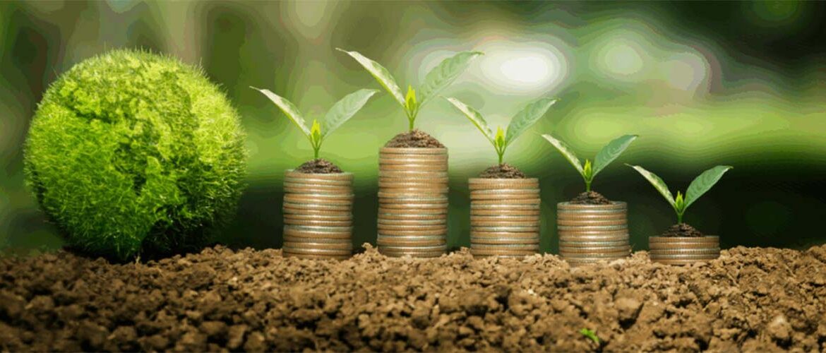 Cibra anuncia FIDC Fiagro no valor de R$150 milhões para ampliar a venda de fertilizantes no mercado brasileiro