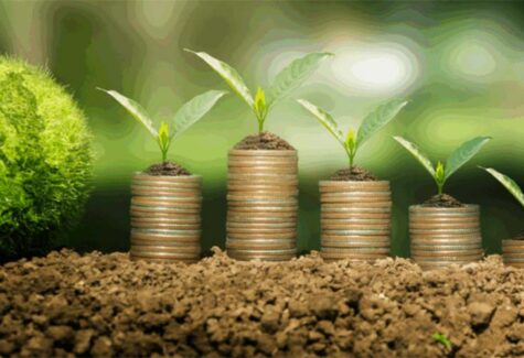 Cibra anuncia FIDC Fiagro no valor de R$150 milhões para ampliar a venda de fertilizantes no mercado brasileiro