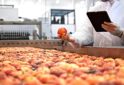 FGVAgro: Agroindústria tem queda de 0,3% em novembro de 2025