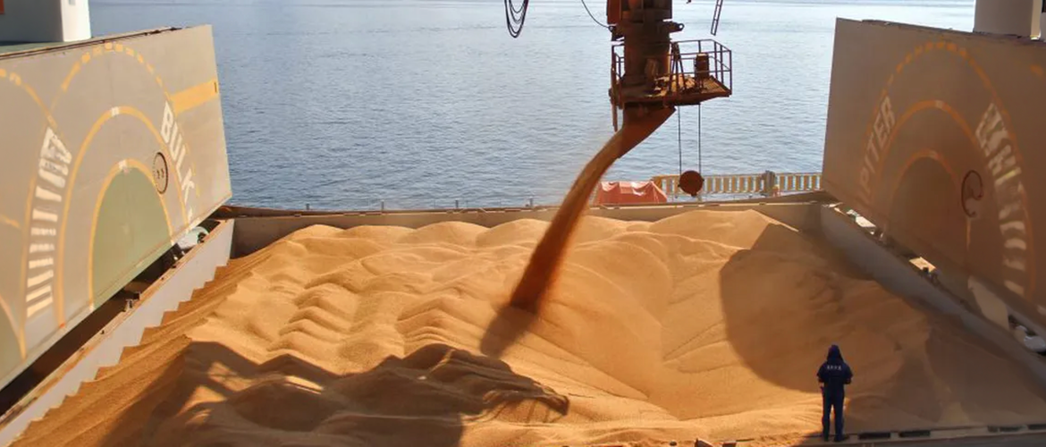 Brasil fecha 2025 com aumento de 13% no volume de arroz exportado