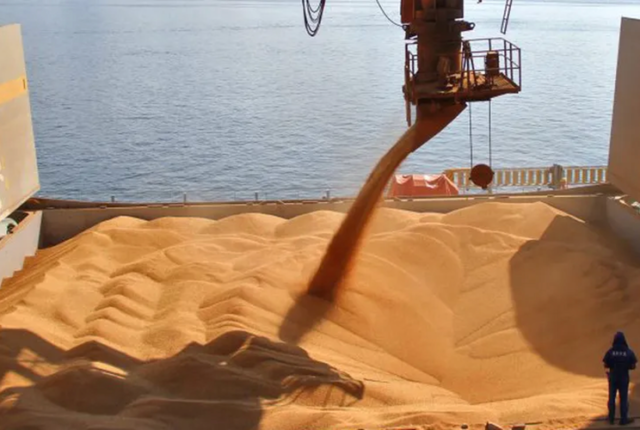 Brasil fecha 2025 com aumento de 13% no volume de arroz exportado