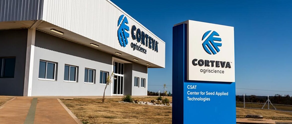 Híbrido tolerante ao pulgão é lançado para atender a cultura do sorgo na próxima safra