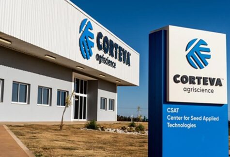 Híbrido tolerante ao pulgão é lançado para atender a cultura do sorgo na próxima safra