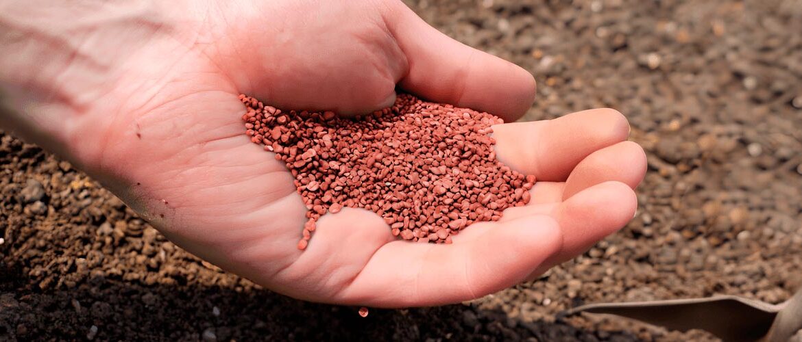 Projeto de potássio avança e confirma início das operações em 2027