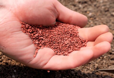 Projeto de potássio avança e confirma início das operações em 2027