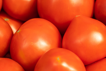 Mecanização impulsiona produção de tomate no Brasil e fortalece competitividade