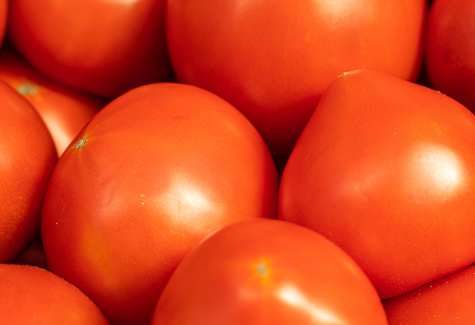 Mecanização impulsiona produção de tomate no Brasil e fortalece competitividade